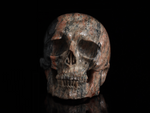 Small Acasta Gneiss Skull