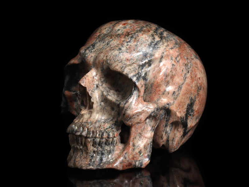 Small Acasta Gneiss Skull